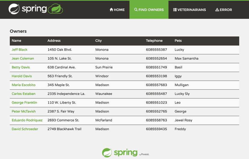Spring PetClinic - Enterprise Application